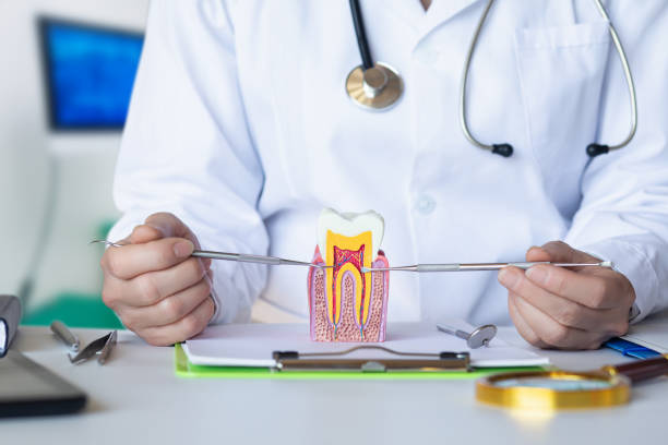 Best Dentist for Severe Toothache  in New California, OH